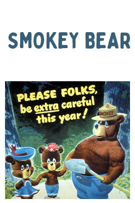 Cartello In Lamiera Retrò Anjoes – Smokey Bear 'Only You' US Forest Service – Decorazione Da Parete Vintage 20x30 Cm - 3