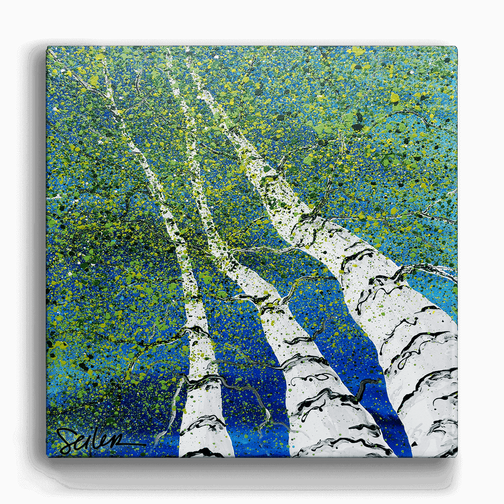 Looking Skyward 1 The First Glimpse Metal Box Art Old Wood Signs
