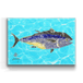 Solo Bluefin
