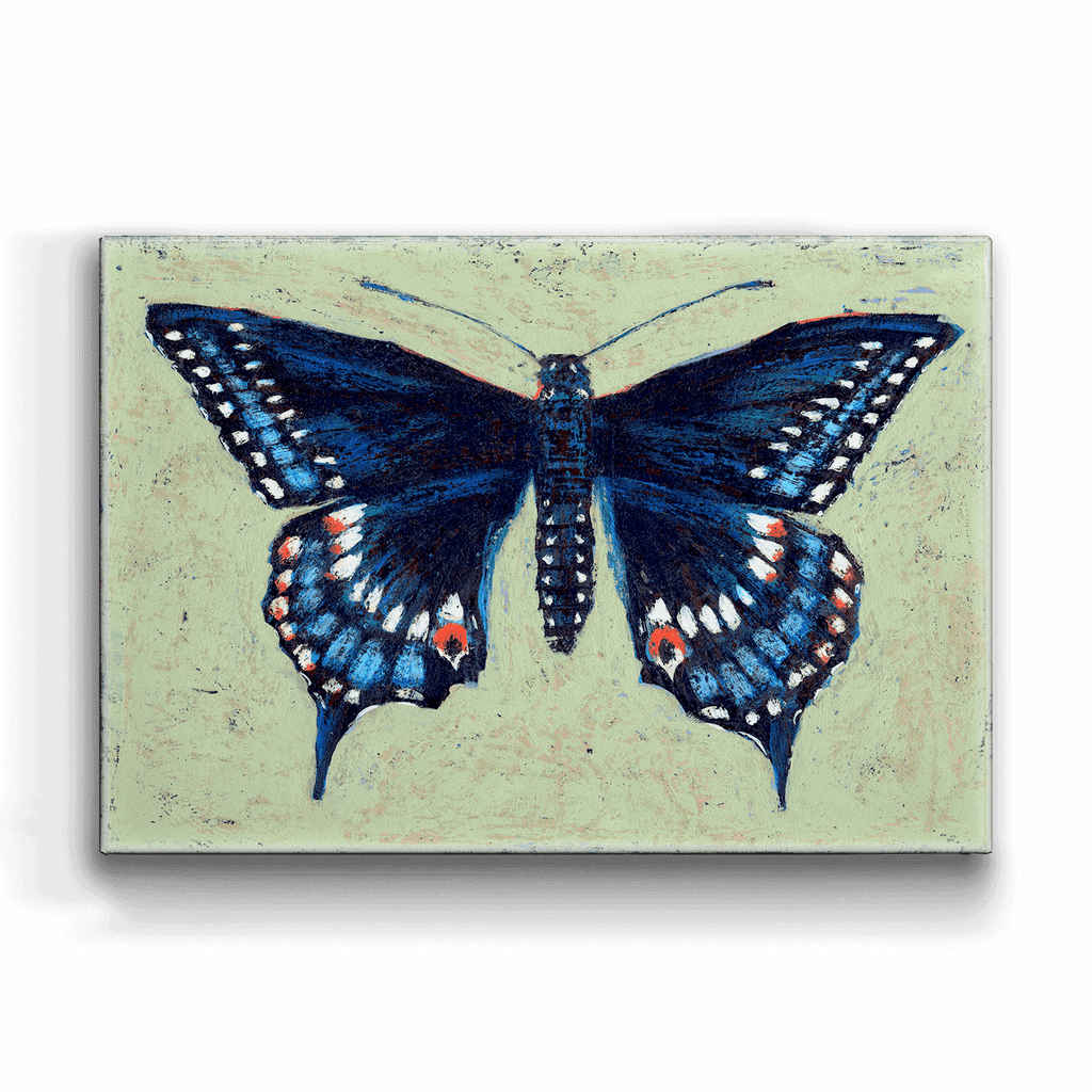 A2BX-SL-SWAL.png?v=1717177797&