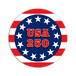 USA 250 - Aluminum Shaped Wall Art