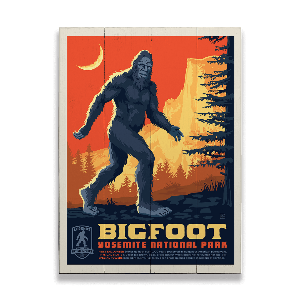 W-AD-BF1001.png?v=1713375385&