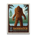 Sasquatch: North Cascades Mystery