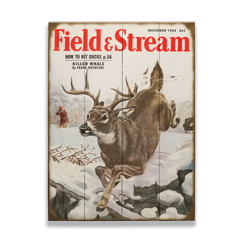 W-FS-1954-12.png?v=1746656695&