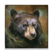 Bear in Branches: Bear 3