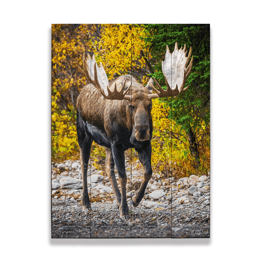 W-MUP-MOOSE2.png?v=1709583035&