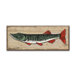 Muskie: Generic