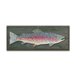 Rainbow Trout: Generic