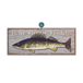 Walleye: Personalized