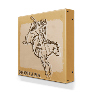 Bronc Rider I: The First Buck - Metal Box Art