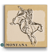 Bronc Rider I: Metal Box Art