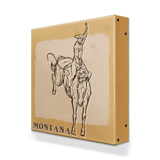 Bronc Rider II: Riding High - Metal Box Art