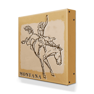Bronc Rider III: Unseated - Metal Box Art