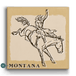Bronc Rider III: Metal Box Art