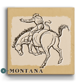 Bronc Rider IV: Turnabout - Metal Box Art
