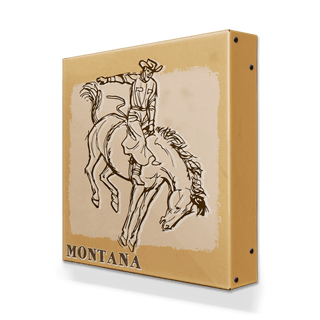 Bronc Rider VI: Almost Eight - Metal Box Art