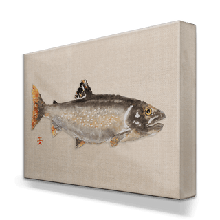 Lake Trout - Metal Box Art
