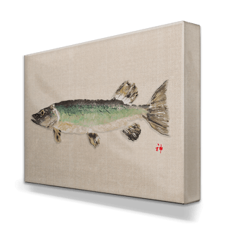 Northern Pike - Metal Box Art