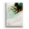 Metal Box Art