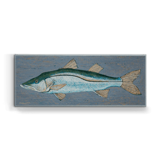 Snook - Metal Box Art