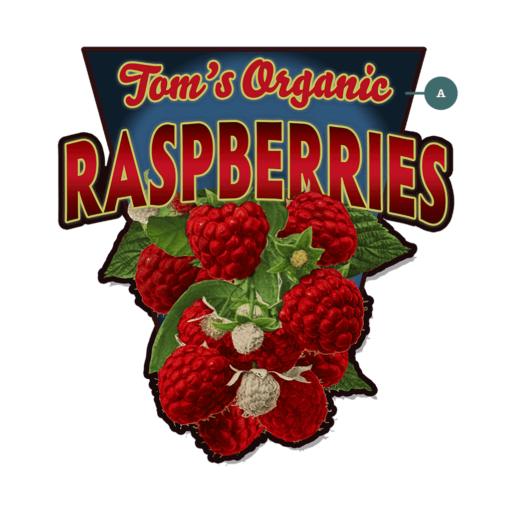 Garden Cutouts: Raspberries - Decorative Plaque – Old Wood Signs