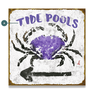 Tide Pools - Wood & Metal Wall Art by FishAye Trading Company