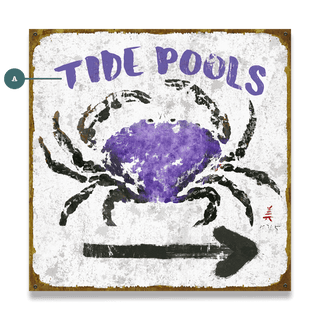 Tide Pools - Wood & Metal Wall Art Metal by FishAye Trading Company