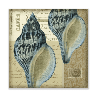 Indigo Shells: Whelk Pair - Wood & Metal Wall Art Metal by Suzanne Nicoll