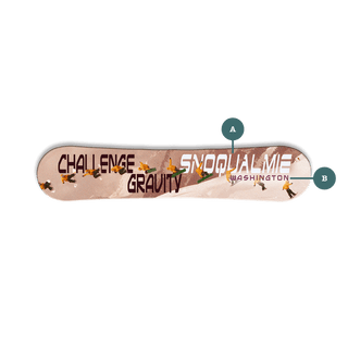 Challenge Gravity - Snowboard Wall Decor