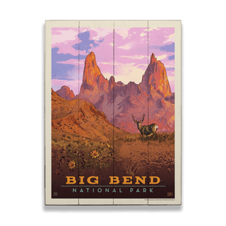 Big Bend National Park: Mule Deer - Wood & Metal Wall Art by Anderson Design Group