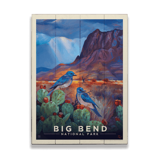 Big Bend National Park: Desert Perch - Wood & Metal Wall Art Anderson Design Group
