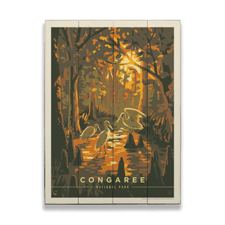 Congaree National Park: Daybreak - Wood & Metal Wall Art Anderson Design Group