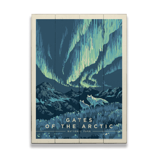 Gates of the Arctic National Park: Northern Lights - Wood & Metal Wall Art by Anderson Design Group