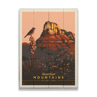 Guadalupe Mountains National Park: Early Bird - Wood & Metal Wall Art Anderson Design Group