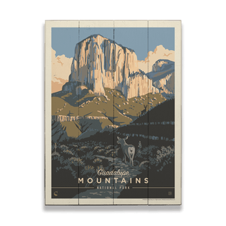 Guadalupe Mountains National Park: Deer in the Shadows - Wood & Metal Wall Art Anderson Design Group