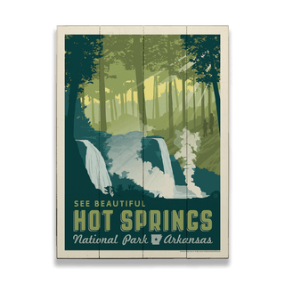 Hot Springs National Park: Arkansas Forest - Wood & Metal Wall Art Anderson Design Group
