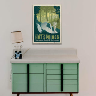 Hot Springs National Park: Arkansas Forest - Wood & Metal Wall Art Anderson Design Group