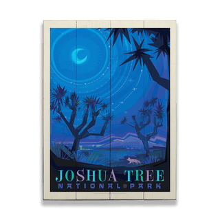 Joshua Tree National Park: Night Sky - Wood & Metal Wall Art Anderson Design Group