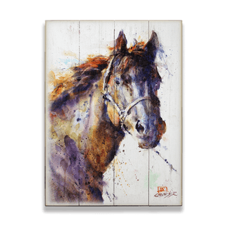 Pancho - Wood & Metal Wall Art