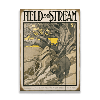 Field & Stream Cover March 1905 - Wood & Metal Wall Art Wood Field & Stream