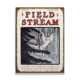 Field & Stream Cover May 1907 - Wood & Metal Wall Art (Copy) featuring vintage hunting magazine cover with a wildcat illustration.