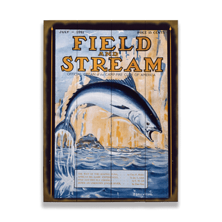 Field & Stream Cover July 1911 - Wood & Metal Wall Art Wood by Field & Stream