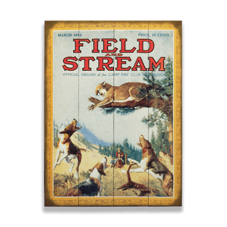 Field & Stream Cover March 1915 - Wood & Metal Wall Art Field & Stream