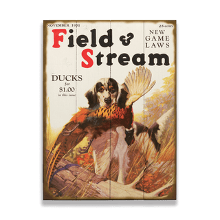 Field & Stream Cover November 1931 - Wood & Metal Wall Art Field & Stream