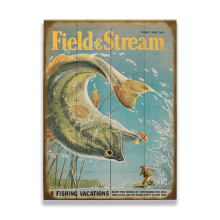 Field & Stream Cover June 1954 - Wood & Metal Wall Art Field & Stream