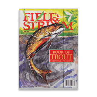 Field & Stream Cover April 2002 - Wood & Metal Wall Art Wood by Field & Stream