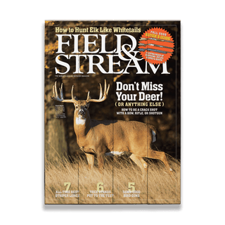 Field & Stream Cover September 2005: Whitetail - Wood & Metal Wall Art Field & Stream