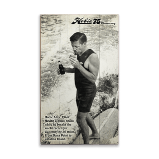 Hobie's Wakesurfing World Record - Wood & Metal Wall Art Hobie