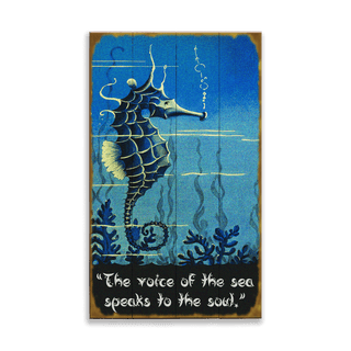 Seahorse Voice of the Sea: Generic - Wood & Metal Wall Art