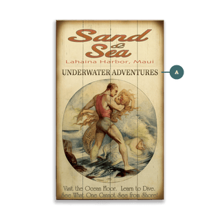 Sand & Sea Underwater Adventures - Wood & Metal Wall Art